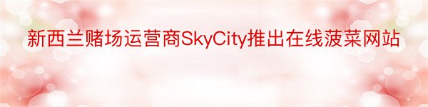新西兰赌场运营商SkyCity推出在线菠菜网站